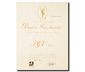 i-riconoscimenti-5_full