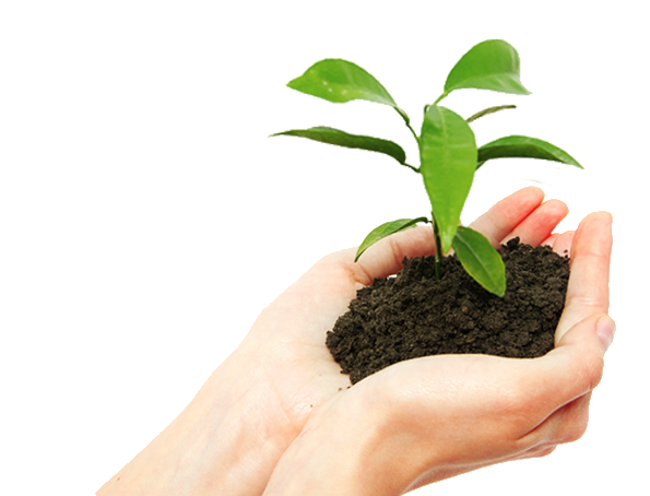 Green lifts DomusLift